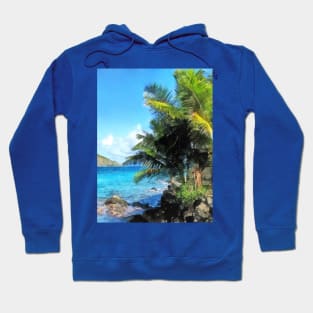 Caribbean - Palm Trees and Beach St. Thomas VI Hoodie